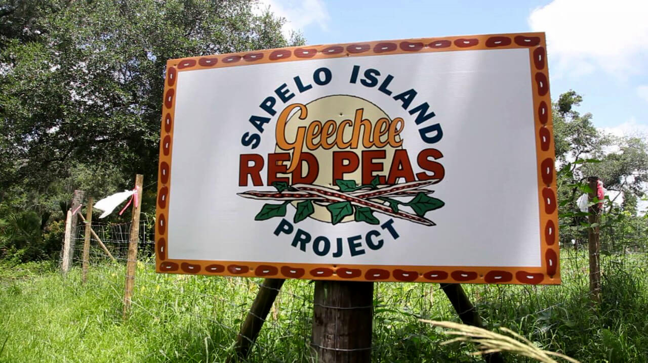 New EarthKeepers focus on island communities