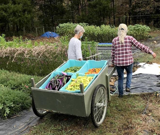 People pulling a wagon of fresh harvest