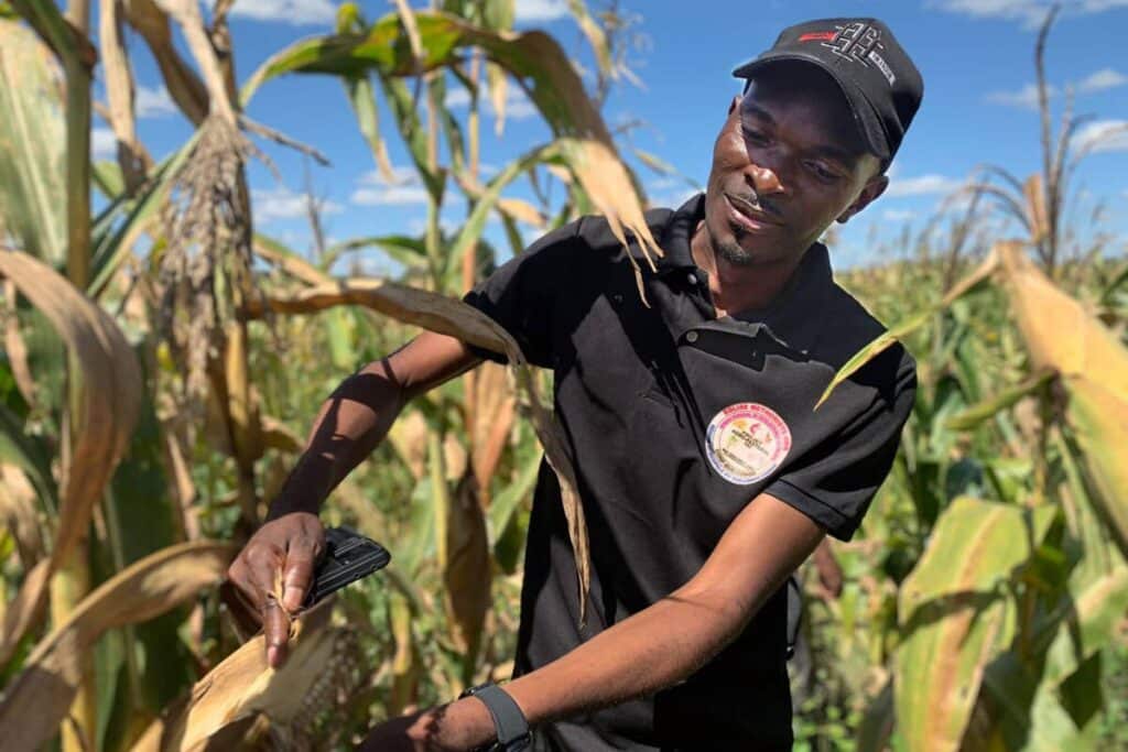 Engineer Sabin Mulang, director of the Development and Projects Office for the South Congo and Zambia Episcopal Area, inspects corn crops at an agropastoral site in Kingandu, Congo. Vast fields of corn and soybeans are at the heart of The United Methodist Church’s initiative to combat food dependency in southern Congo. Photo by Christian Kasweka, UM News.