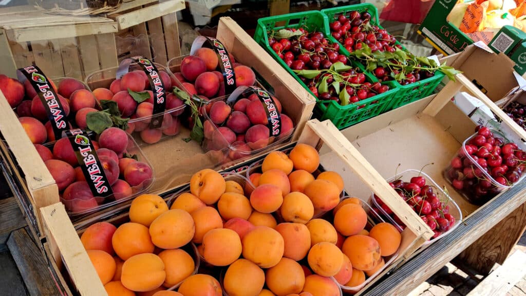 Photo by Morgan Beaudoin