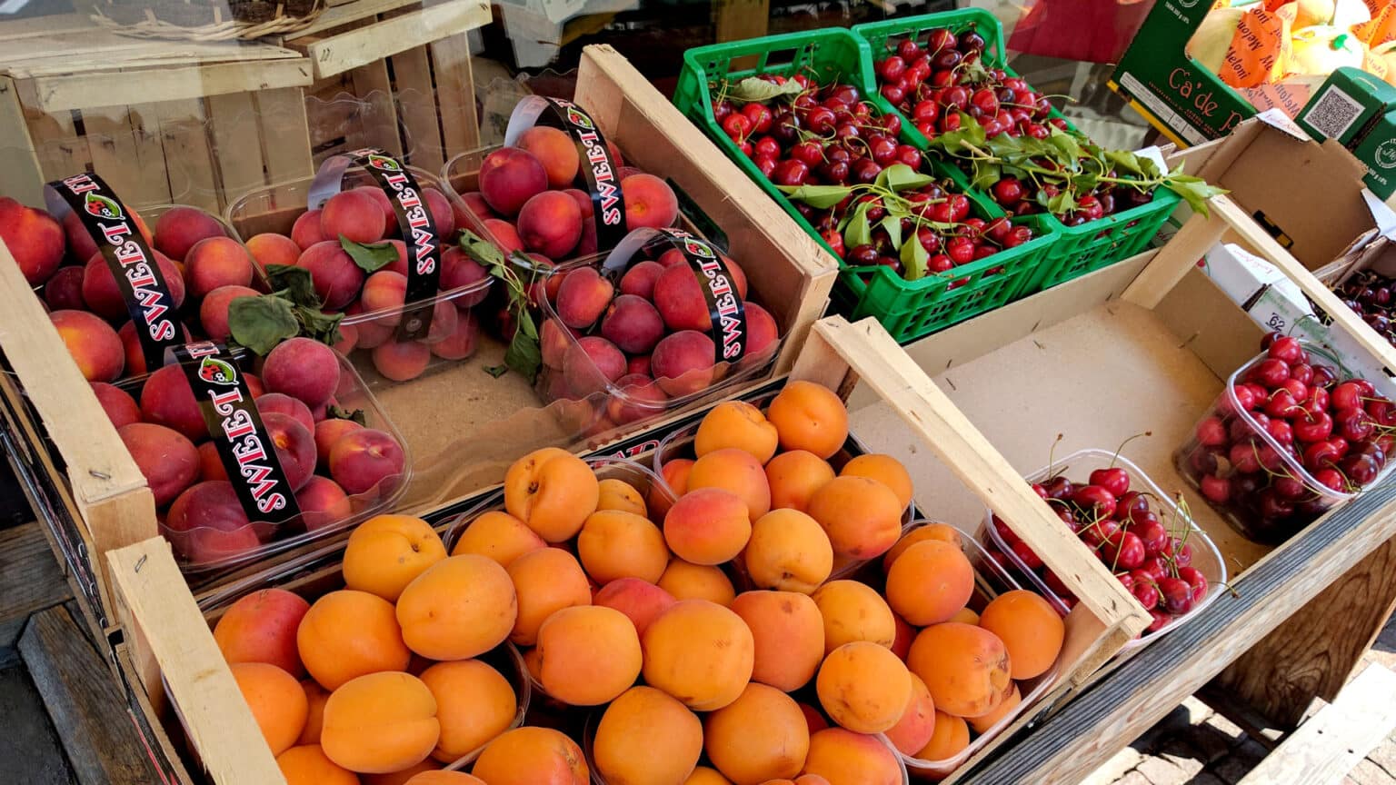 Photo by Morgan Beaudoin